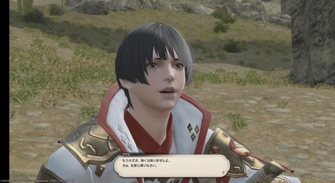 FF14_SS000006