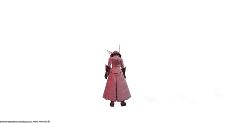 FF14_SS000615