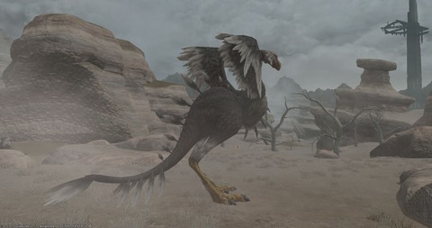 FF14_SS000893