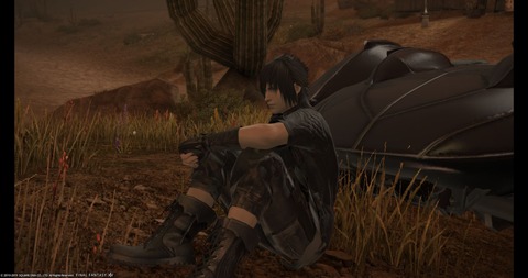 FF14_000567