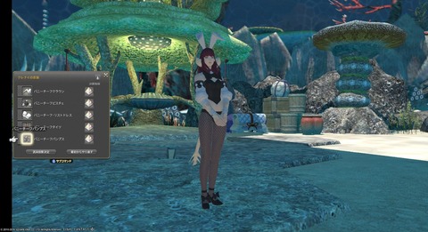 FF14_SS001286