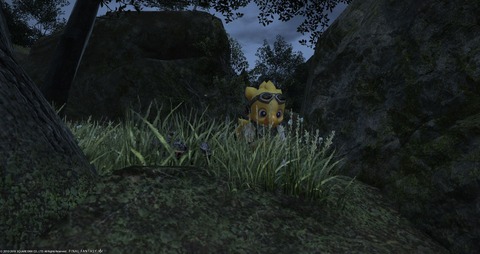 FF14_000897