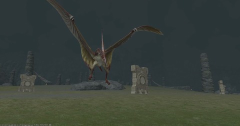 FF14_SS000917