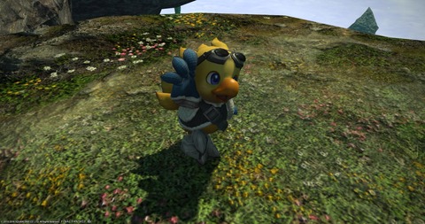 FF14_000869
