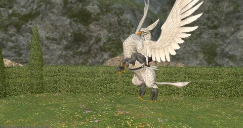 FF14_SS000214