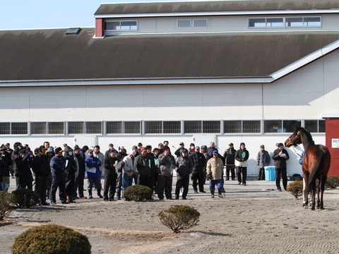 イースト展示会