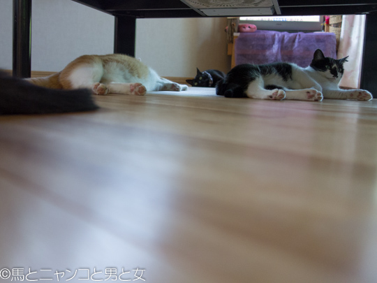 DSC05588
