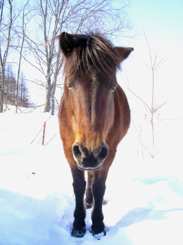 20070213231734.jpg
