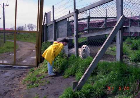 img023.jpg