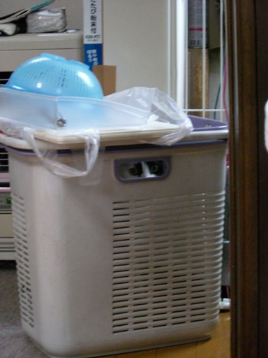 20060803104734.jpg