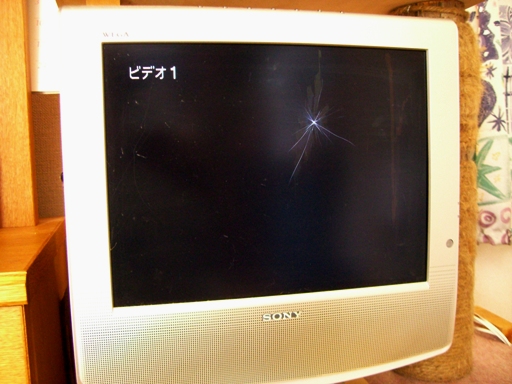 69c44844.jpg