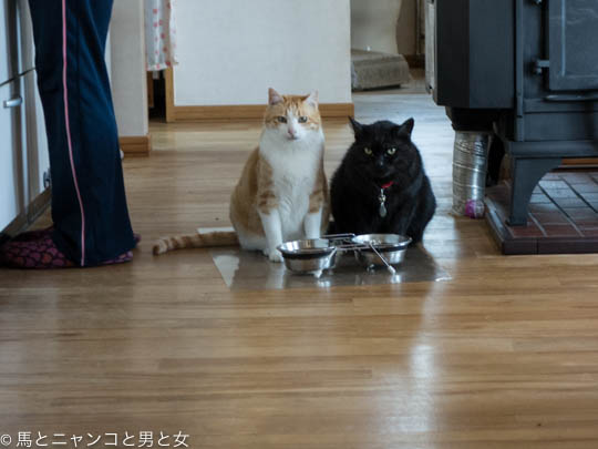DSC04608