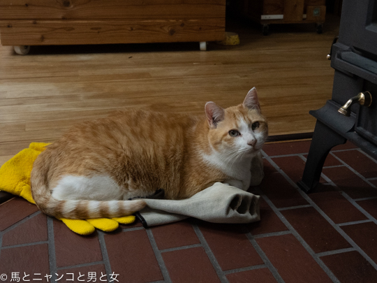 DSC03204