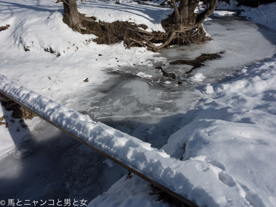 DSC07020
