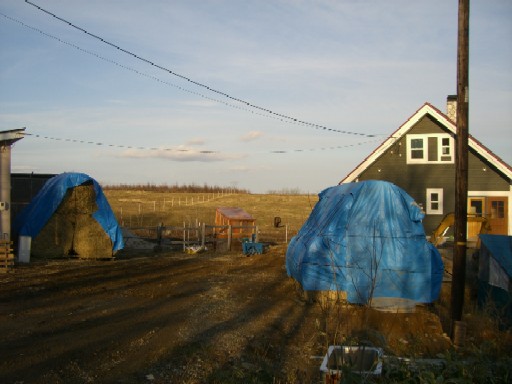 d5c04692.jpg
