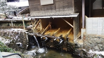 DSC05023