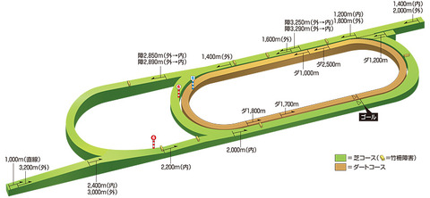 pic_course_3d