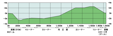 pic_course_turf2