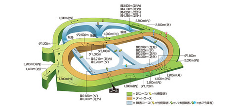 pic_course_3d