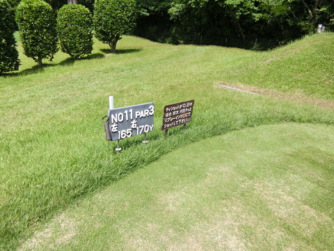 CIMG0596