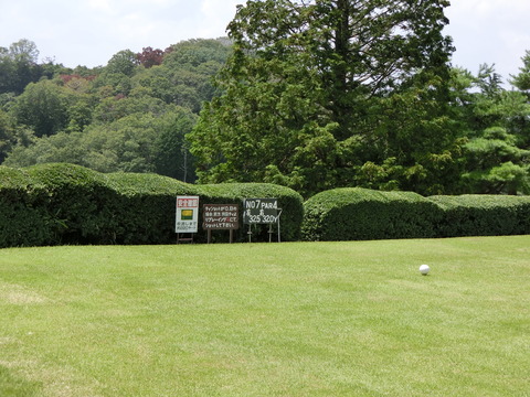 CIMG0567