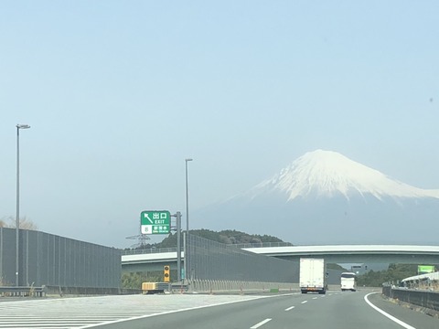 S__83566597