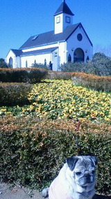 e016cf54.jpg