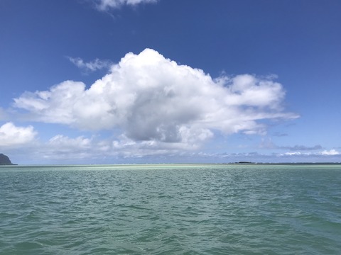 かのん 画像