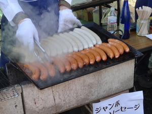 DSC00095