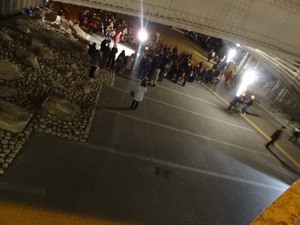 DSC00932