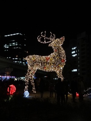 DSC00918