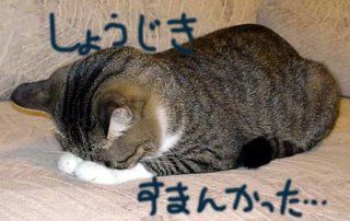 8FB68B3F-856D-424A-8628-38C50F3549F4