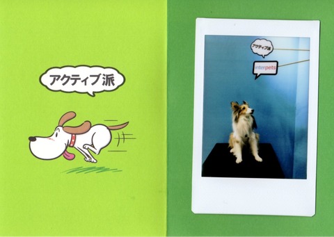 img424 (3)