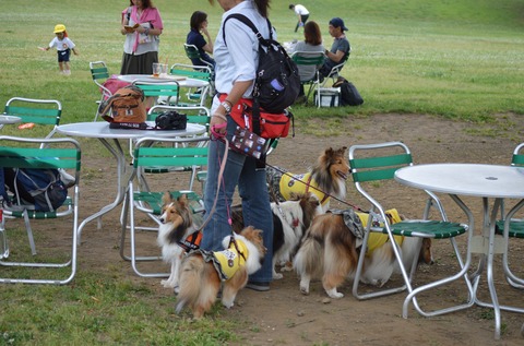 DSC_0904 (2)