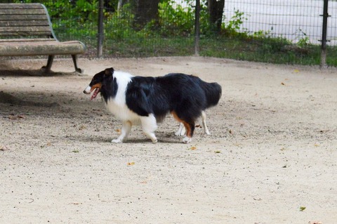 DSC_0865 (2)