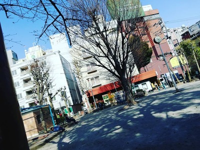 52548610_806647949728034_2905607448686521636_n