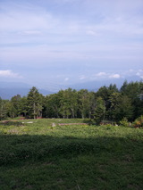 8e8d3585.jpg