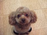 うめ5