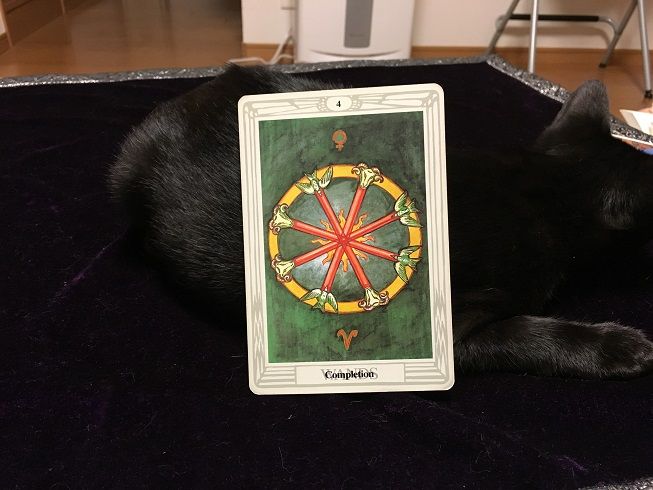 51