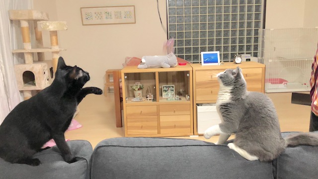 00-1