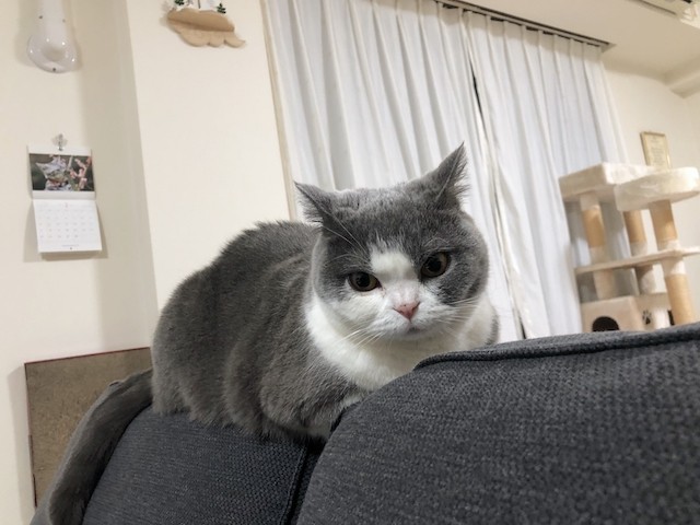2019-01-31 20.56.33