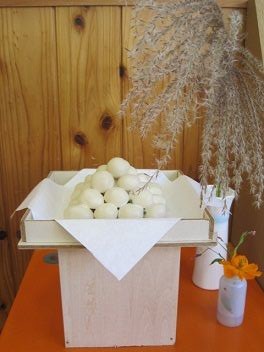 IMG_0150