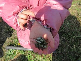 IMG_0540