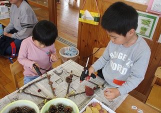 IMG_2826