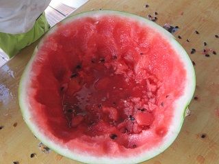 IMG_9907