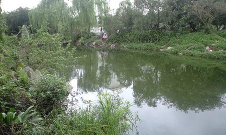 CA392084