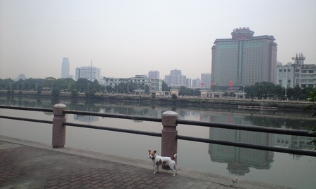 CA392119