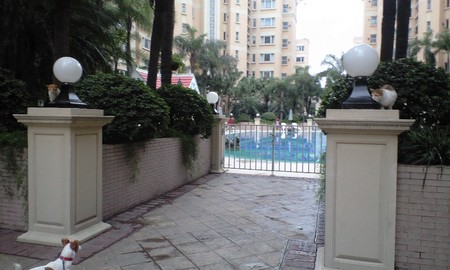 CA392281