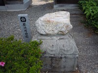 DSCN7361