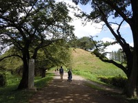 DSCN7390